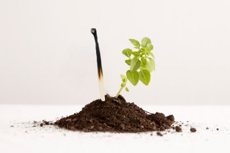 Burn out comment s'en sortir et renaître ?